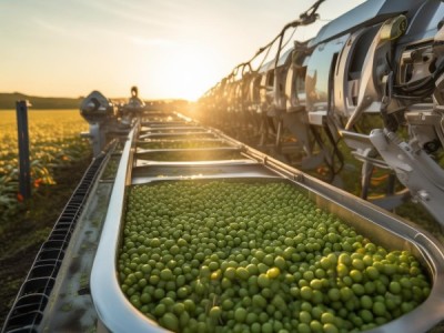 mechanized China 沪上数字化转型推动文本化发展